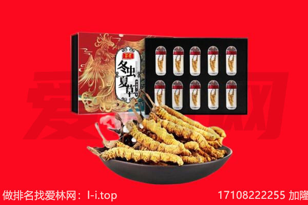 河源回收虫草.jpg